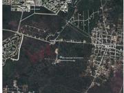 Invierte en Ceiba II: 1,200 m² listos para construir tu...