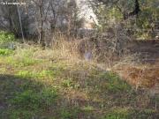 Invierte en La Colina: terreno amplio y bien comunicado