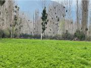 Terreno en Venta, Coltauco Sexta Región