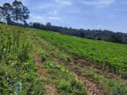 Invista em Chácara em Ibiúna – Parcelas acessiveis com...