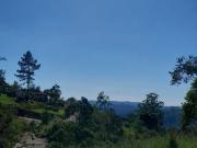 Invista em Terreno em São João Novo