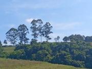 Invista em Terrenos de 500m² no Interior Paulista