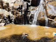 Invista em Tranquilidade: Terreno com Cachoeira e Vista...