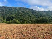 Invista no interior lotes de 1000m² Ibiuna SP