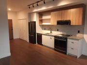 IRONWORKS Studio Suite 515 Chatham