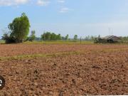 Iscon Palm Springs 1094 Sq. Yd. Plot in Godhavi...