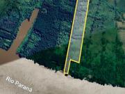 isla en Paraná de las Palmas km 99.5