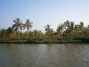 Island for Sale in Kollam, Kerala, Ref# 535662 Island for Sale in Kollam, Kerala, Ref# 535662