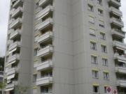 Ist Ihnen der Garten zu gross geworden