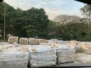 ISTV 306 Terreno theremaxcollection URFGW