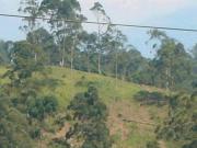 ITAPECERICA DA SERRA