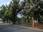 ITC Woodlands Residential Lot for Sale in Valenzuela City