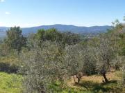 Itgb1363 Sito al confine tra le Colline Fiorentine e...