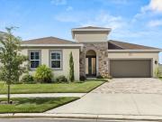 Ivy Stark Blvd, Wesley Chapel, Home For Sale