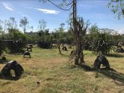 JA For Sale: 23,782 sqm. Commercial Lot in Las Piñas City