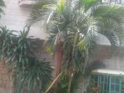 Jabson pinagbuhatan house for sale