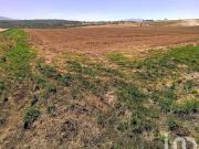 Jacal de la Piedad 10 Hectáreas en Remate