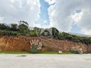 Jacarandas en Rancho San Juan