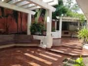 JACARANDAS FRAC. FLAMBOYANES