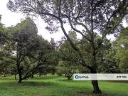 Jalan Besar, Nilai Pajam