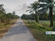 Jalan Raja Musa Kuala Selangor Agriculture Land