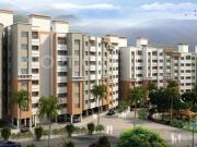 Jambhul Shop Shop For Sale Pune