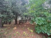 Jard sur Mer Vente Terrain 85