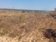 JARDIM BOTÂNICO ITAIPU 54 2 LOTES DE 1500m² CADA