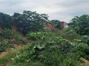 JARDIM DA BARRAGEM 4 02 LOTES VAZADOS 10X30 600m² JARDIM DA BARRAGEM 4 02 LOTES VAZADOS 10X30 600m²