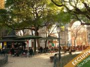 Jardim Das Amoreiras Encantador T1 + 1 Sem Mobília 1º...