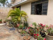 Jardim Urano Casa com duas edículas