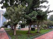 TIZAPÁN SAN ÁNGEL, Departamento en Venta