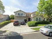 Jasmine, BRENTWOOD, CA 94513