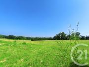 Jayat Vente Terrain 01