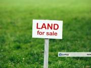 Jenjarom, Sri Cheeding Agricultural Land For