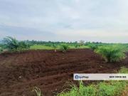 JERAM BATU PEKAN NENAS