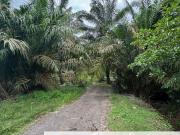 JERAM BATU PEKAN NENAS