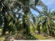 JERAM BATU PEKAN NENAS