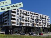 JETZT TOPAKTION: EIN MONAT MIETFREI ! 3 ZIMMERWOHNUNG...