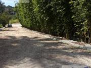 Jiutepec Morelos Venta De Terreno En Exclusivo...