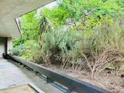 Joaquín Argaez San Miguel Chapultepec