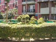Joda Flat 1 Bedroom 800 Sq. Ft. Apartment in Ip...