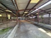 Johnstown, Bennekerry, Carlow REA Dawson Tullow 4949...