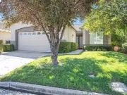 Jonagold, BRENTWOOD, CA 94513
