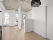 Joseph Condos for rent in Rosemont La Petite Patrie