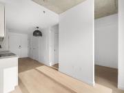 Joseph Condos for rent in Rosemont La Petite Patrie