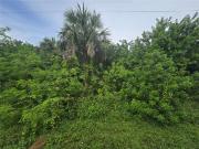 Joseph St, Port Charlotte, Plot For Sale