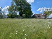 Joué l'Abbé Vente Terrain 72