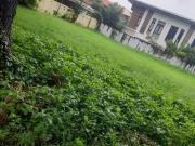 JSL 540 SQM VACANT LOT AYALA ALABANG VILLAGE 135M