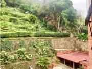 JUANAMBU OESTE JUANAMBÚ EN SU ESPLENDOR